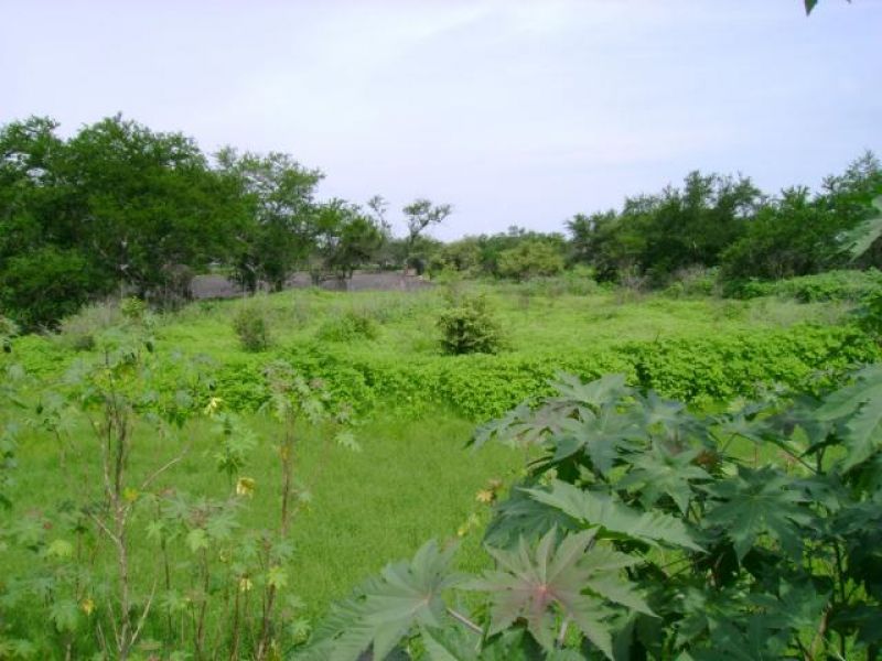Terrenos en Tequesquitengo