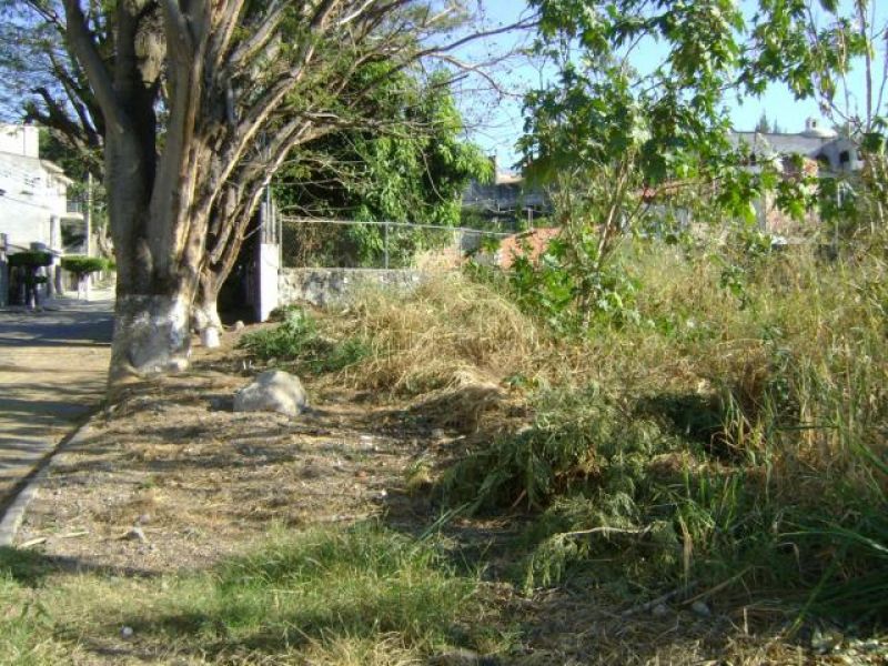 Terrenos en Fraccionamiento las Brisas