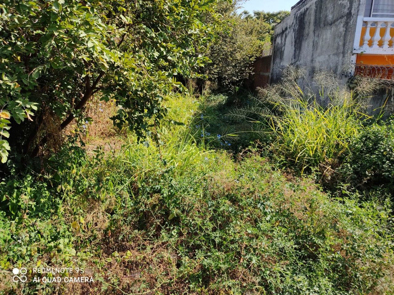 Terrenos en Col. Tres de Mayo