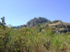 {"esp":"FACHADA PRINCIPAL"}