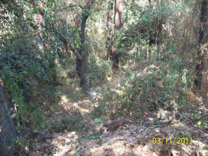 Terrenos en Del Bosque