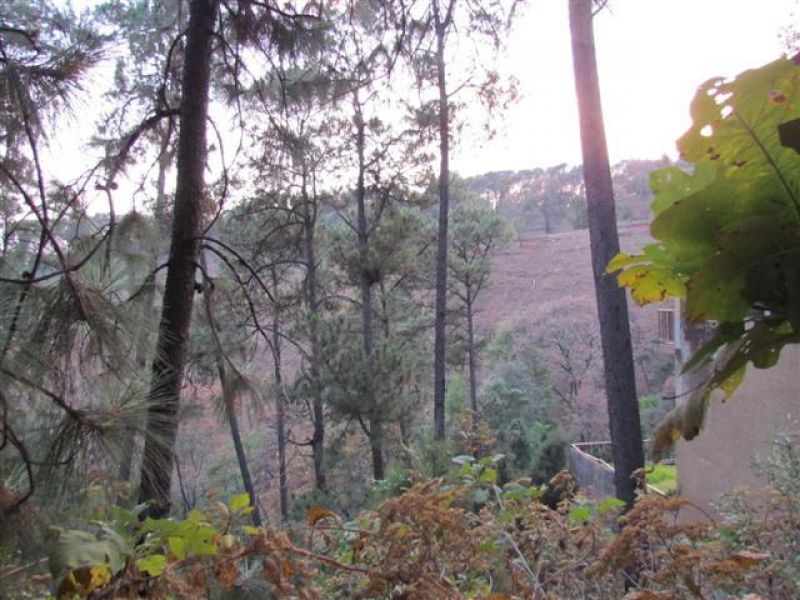 Terrenos en Del Bosque