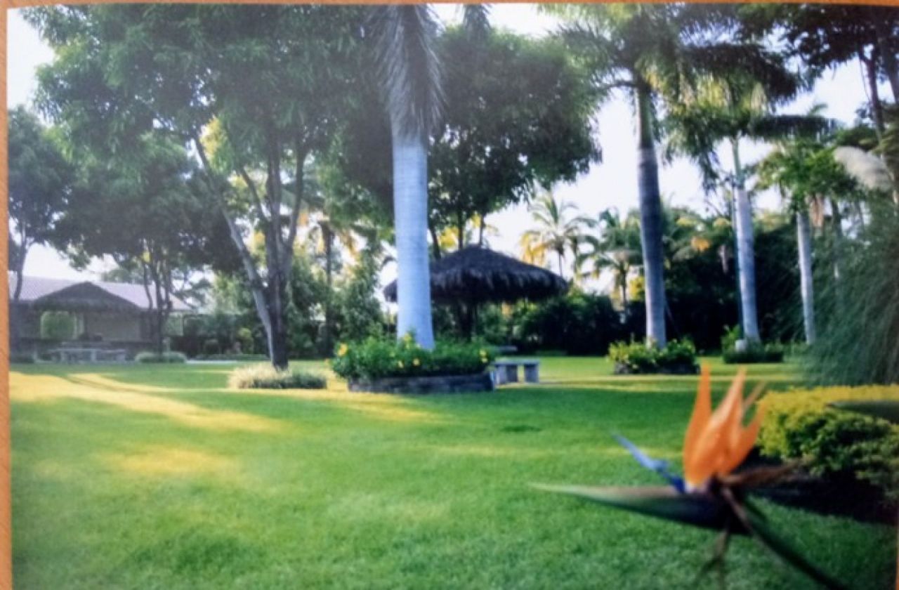 Salones o jardines en Xoxocotla