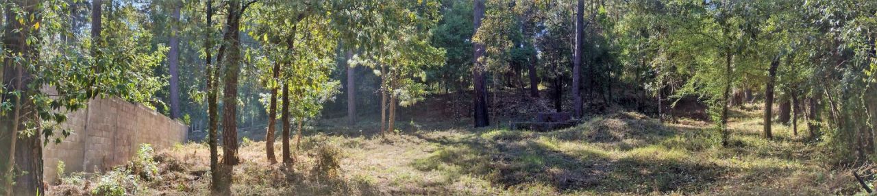 Terrenos en Avandaro