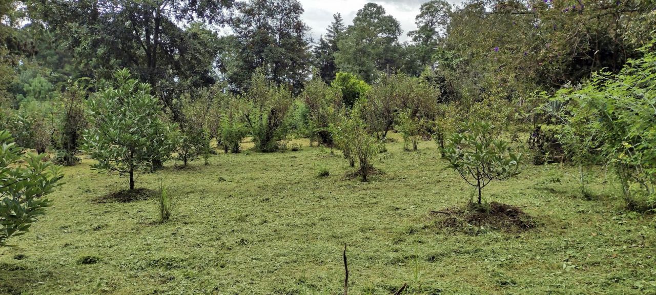 Terrenos en Avandaro