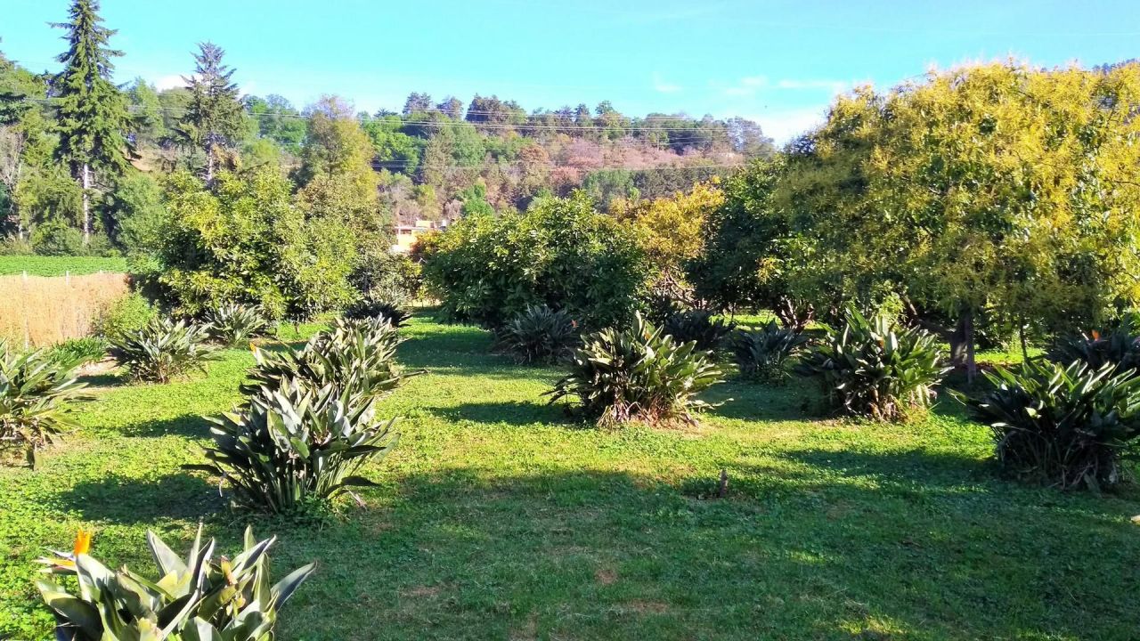 Terrenos en La Candelaria