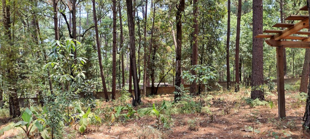 Terrenos en Avandaro