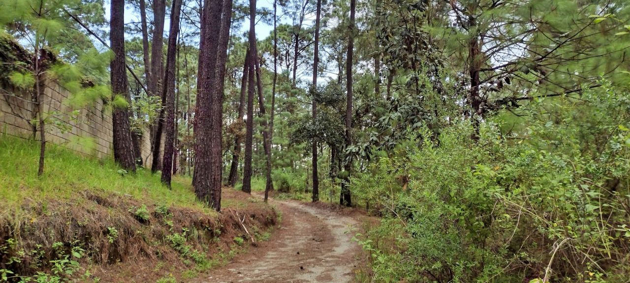 Terrenos en Circuito Avandaro