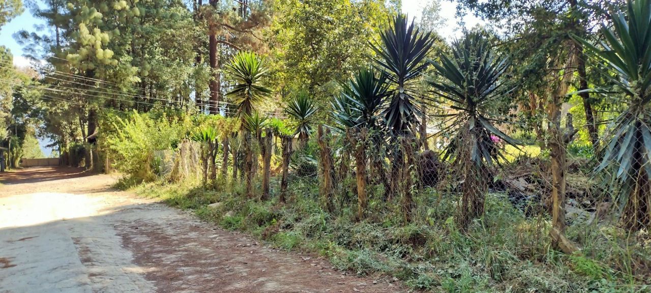 Terreno Valle de Bravo