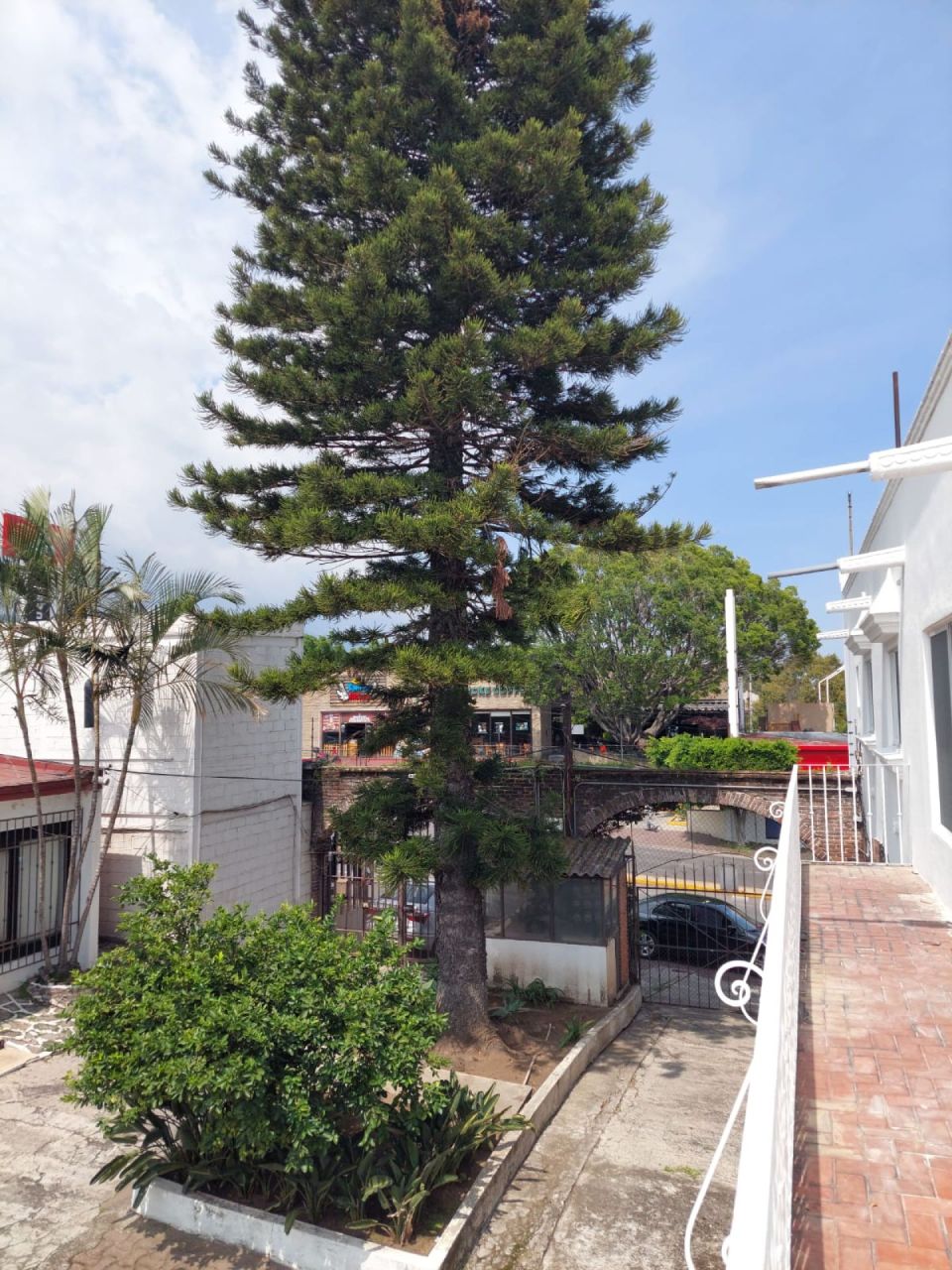 Departamentos en Buenavista