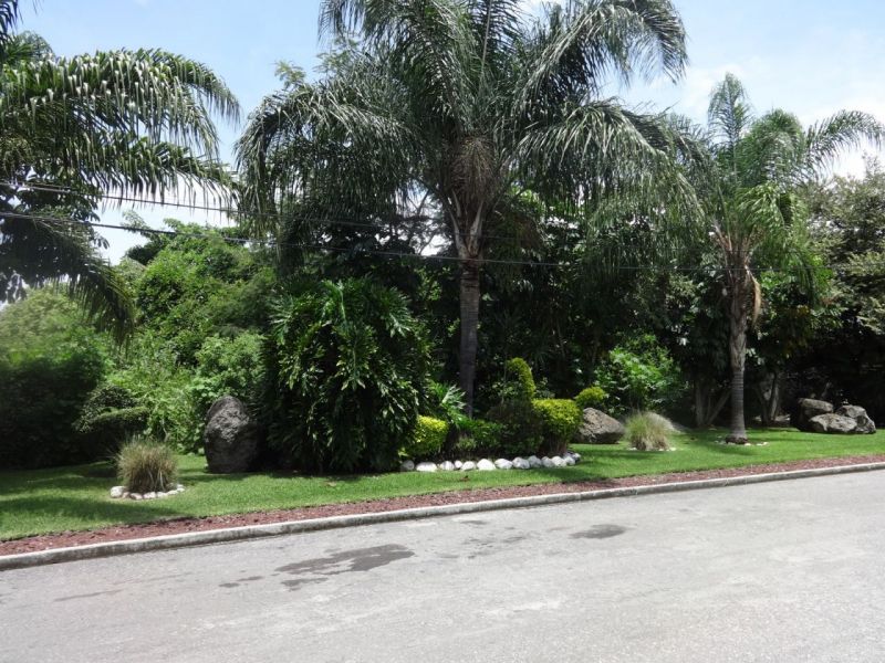 Terrenos en Jiutepec Centro