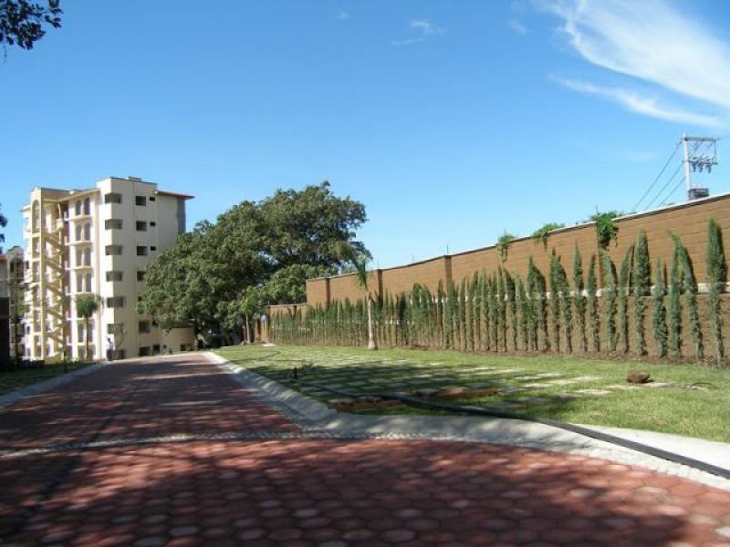 Condominios en Buenavista