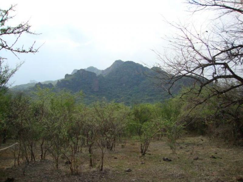 Terrenos en Carr. Federal Yautepec, Tepoztlan