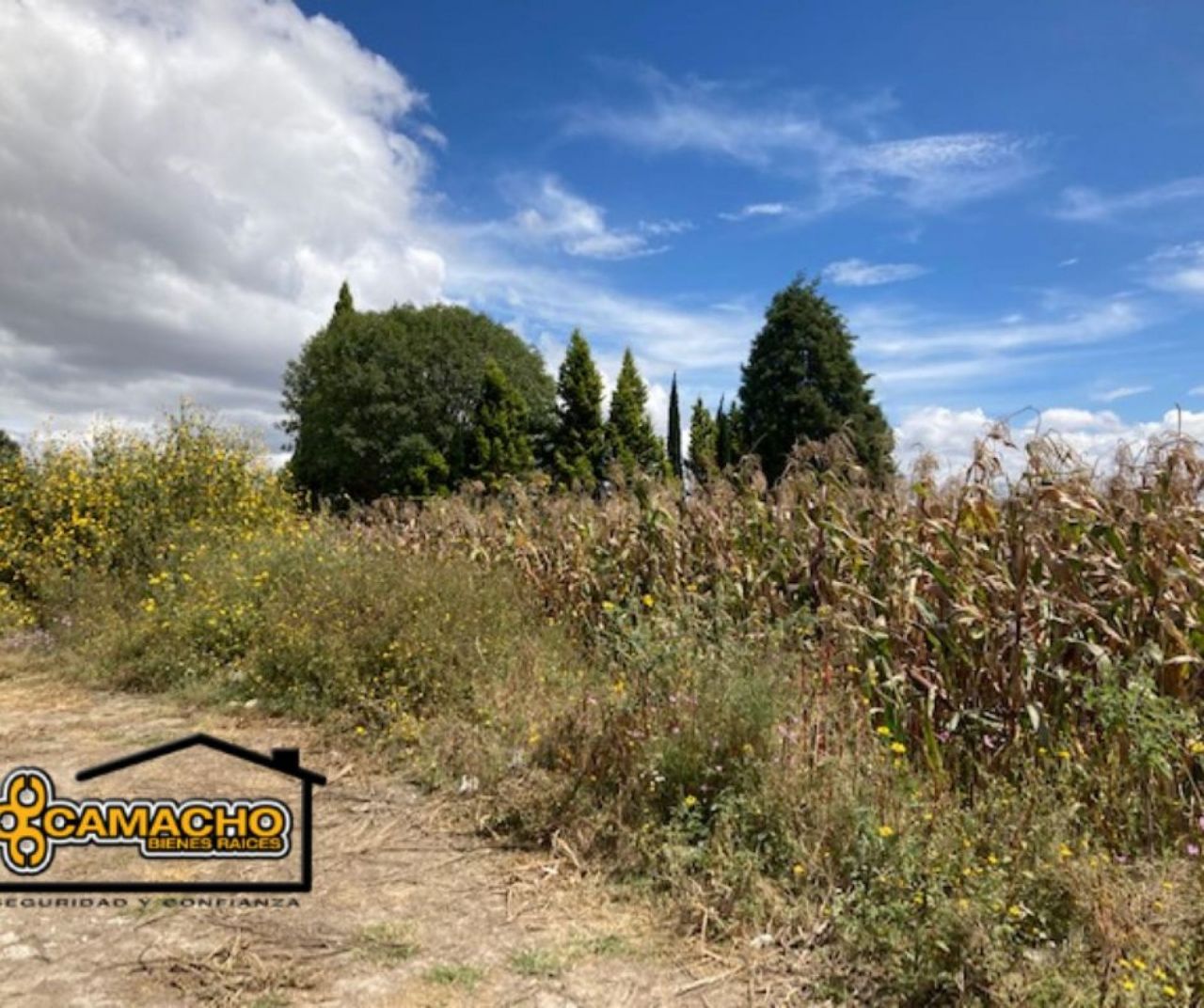 Terrenos en San Rafael Comac