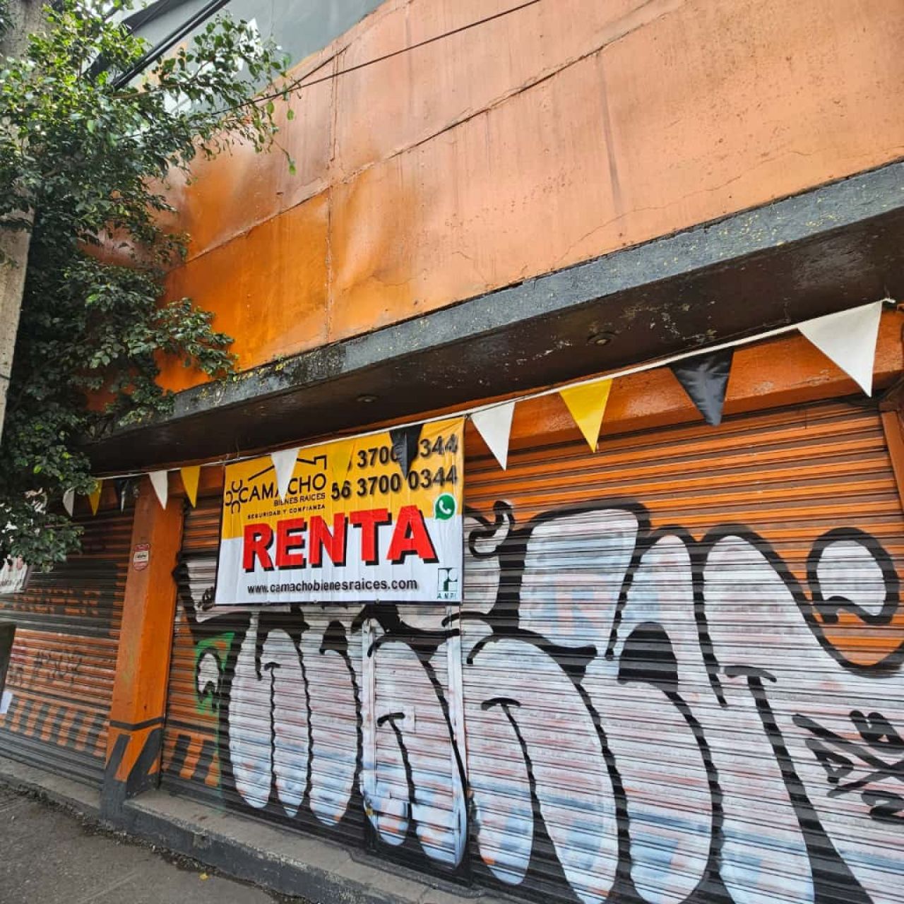 Locales Comerciales en Renta Mensual en Cuernavaca