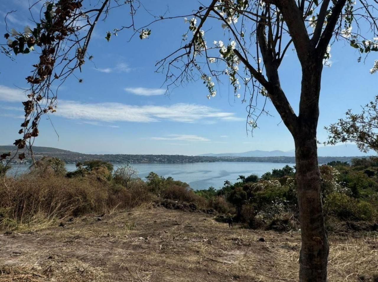 Terrenos en El Remanso