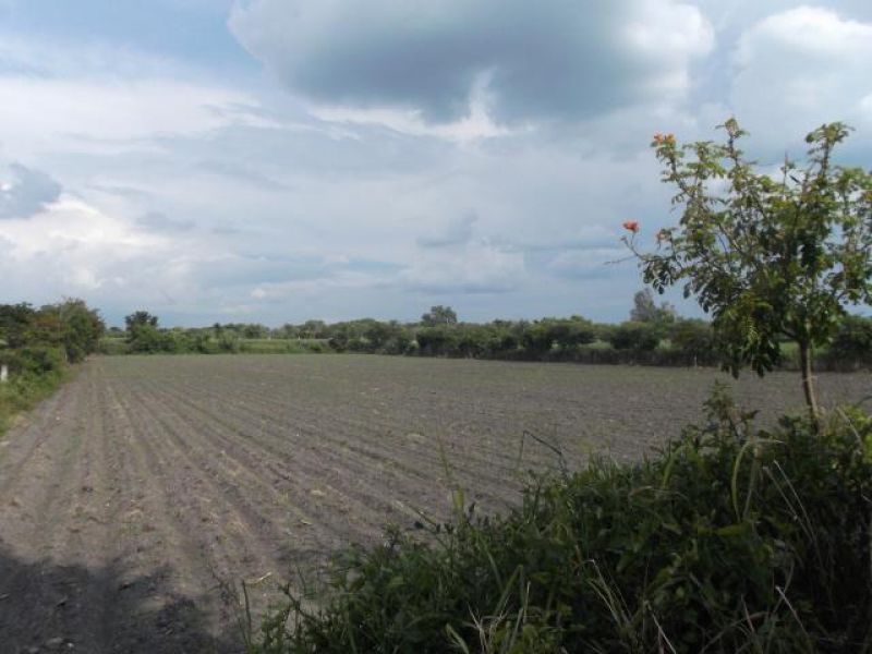 Terrenos en Yautepec