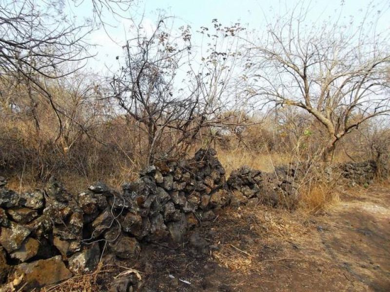 Terrenos en Tepoztlan