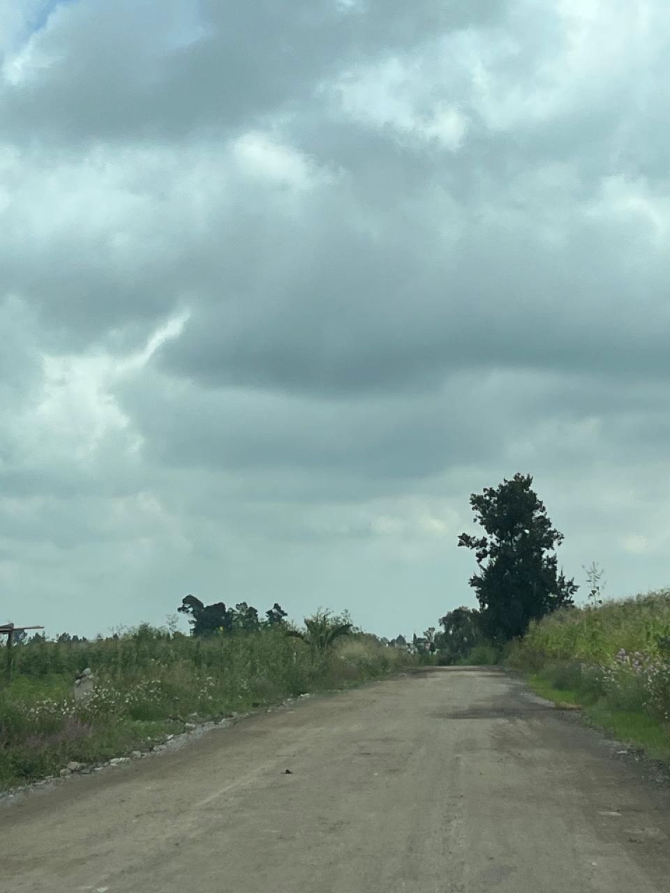 Terrenos en San Juan Tlautla