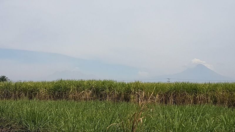 Terrenos en Casasano