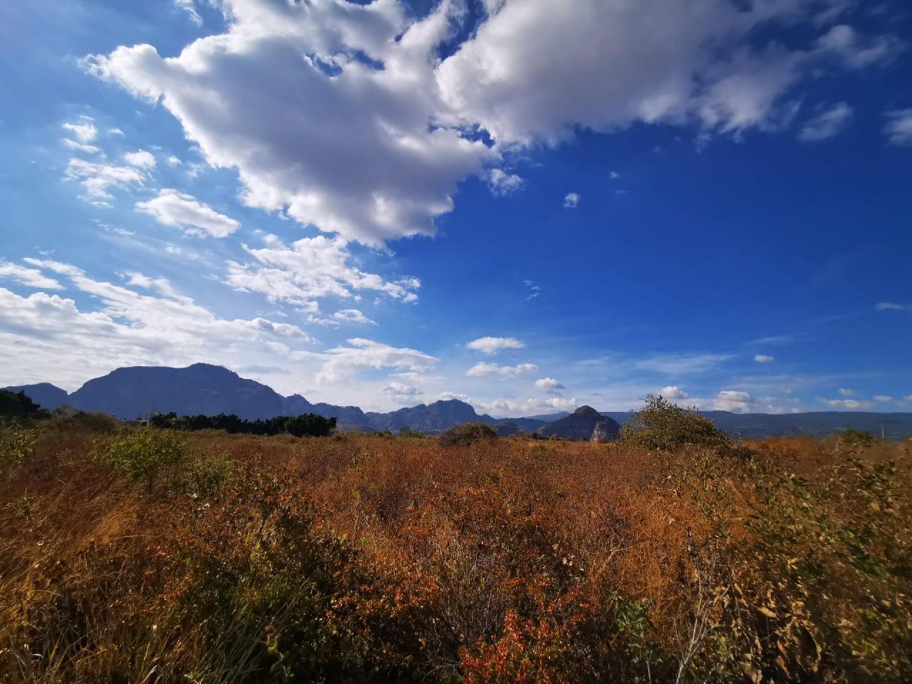 Terrenos en Tlayacapan