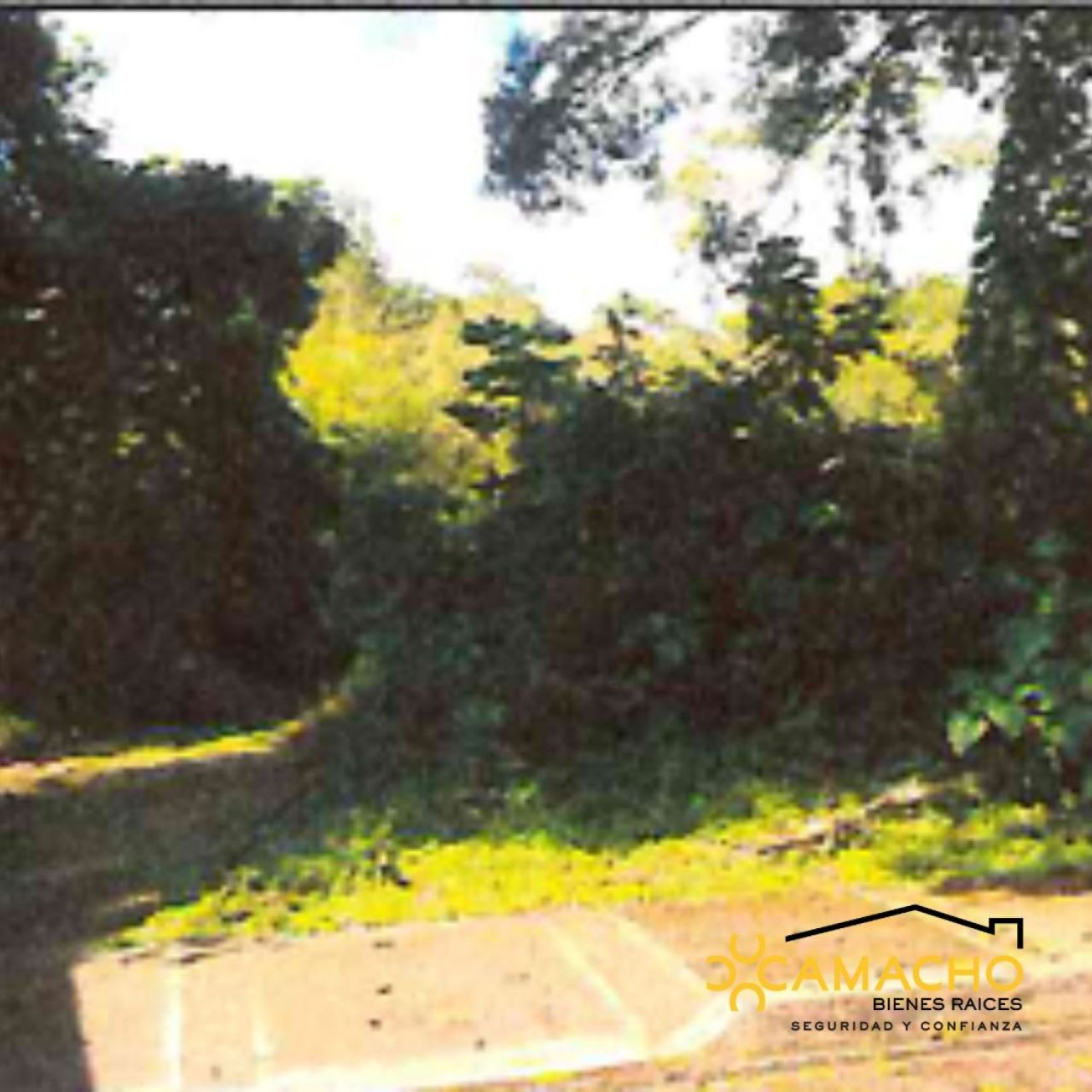 Terrenos en Fraccionamiento las Araucarias