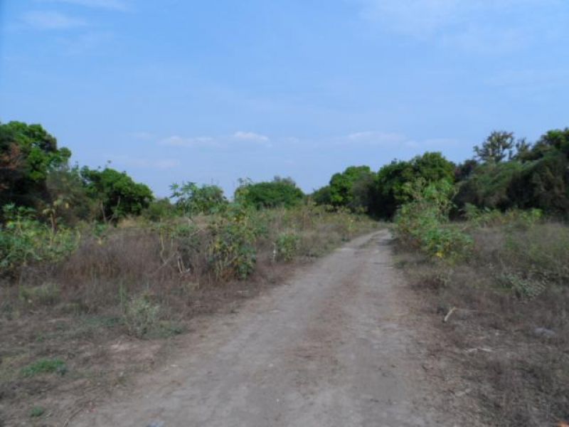 Terrenos en Itzamatitlan