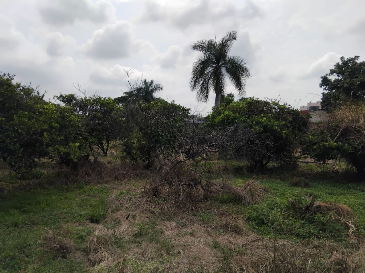 Terrenos en Emiliano Zapata