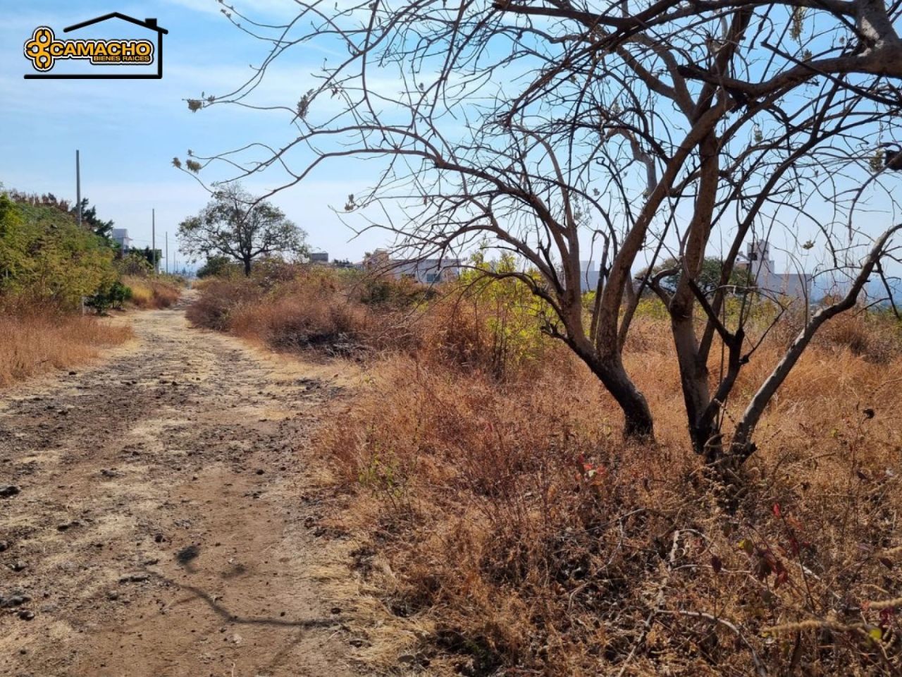 Terrenos en Corral Grande