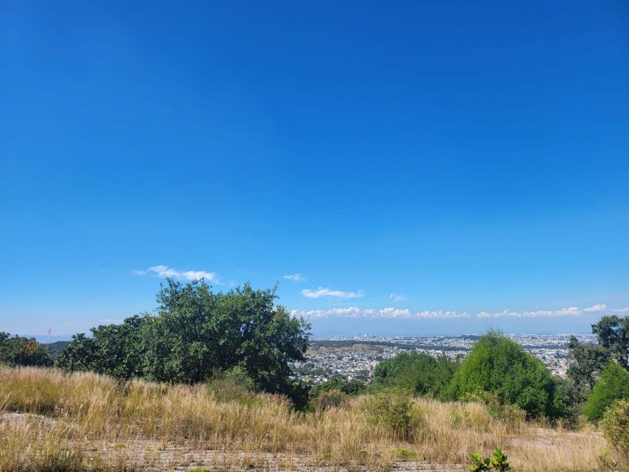 Terrenos en Lomas Flor del Bosque