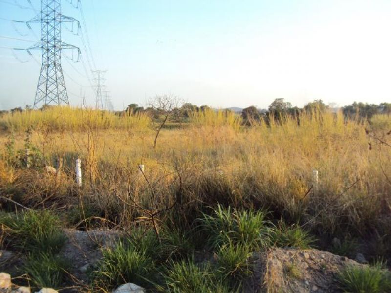 Terrenos en Tlayacapan