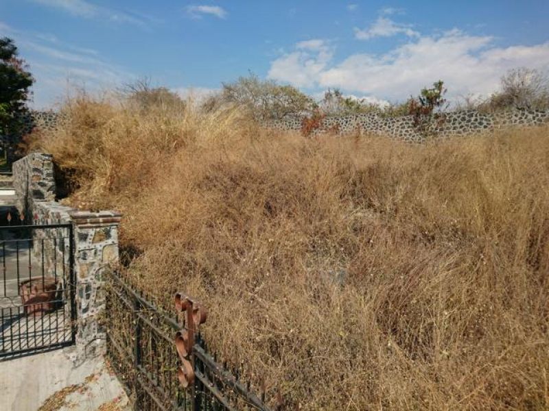 Terrenos en Tepoztlan