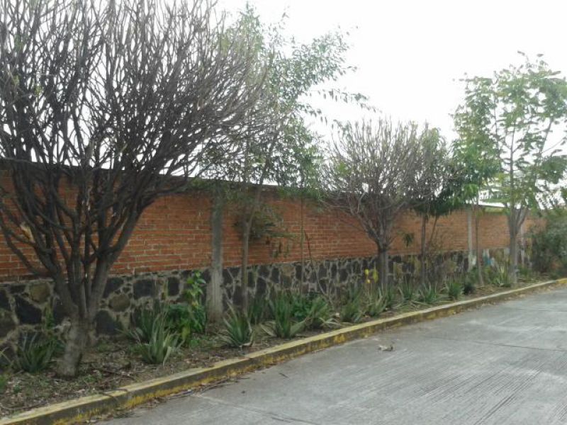 Terrenos en Cuautlixco