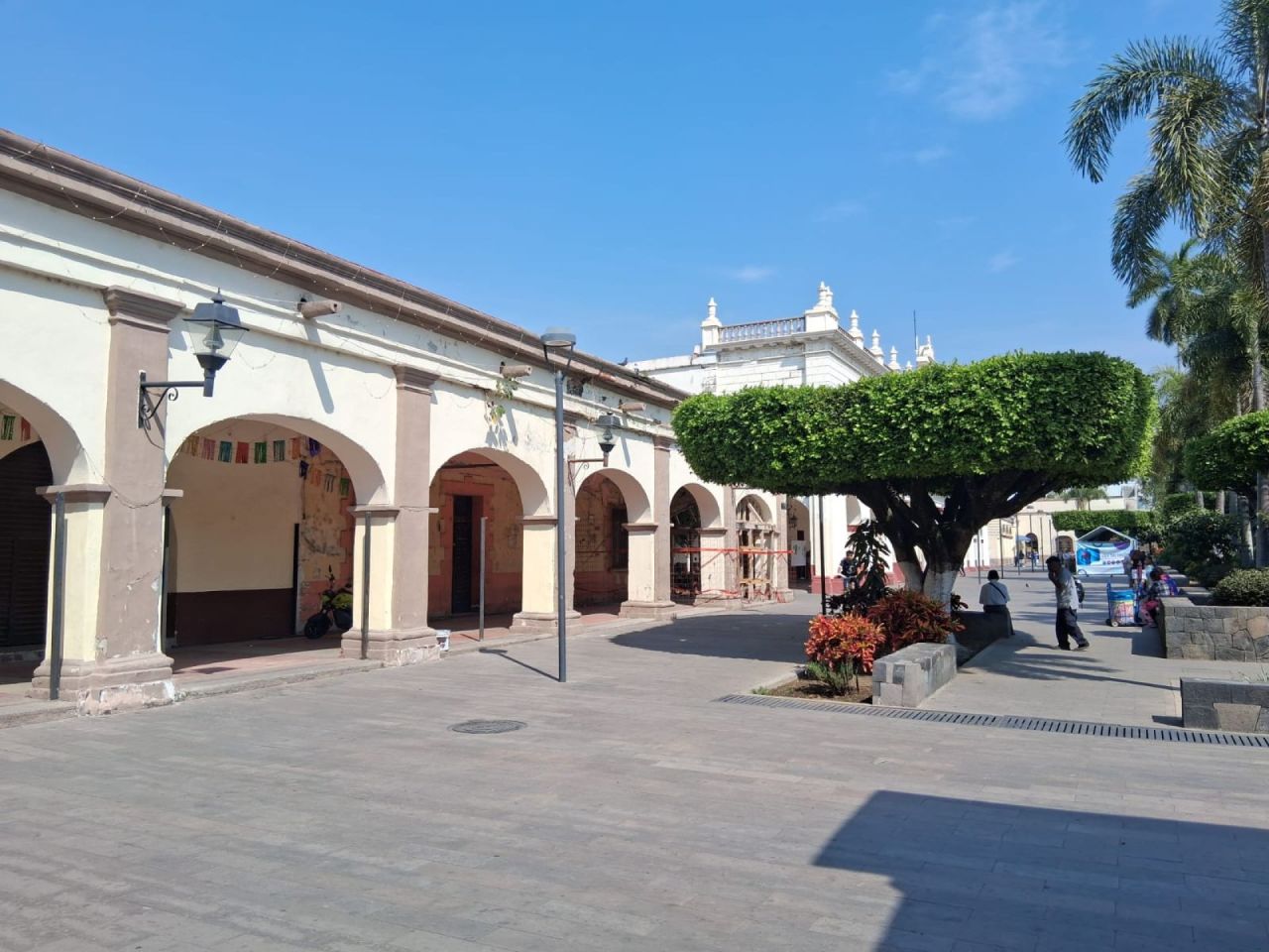 Locales comerciales en Centro