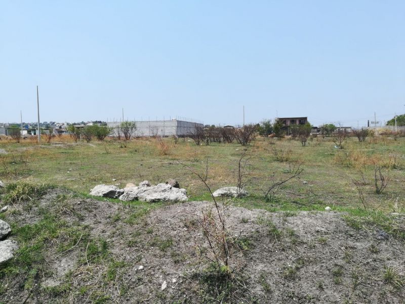 Terrenos en Yecapixtla