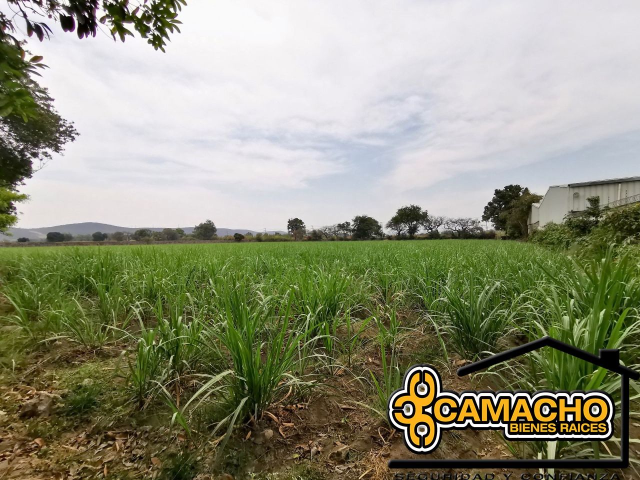 Terrenos en La Nopalera