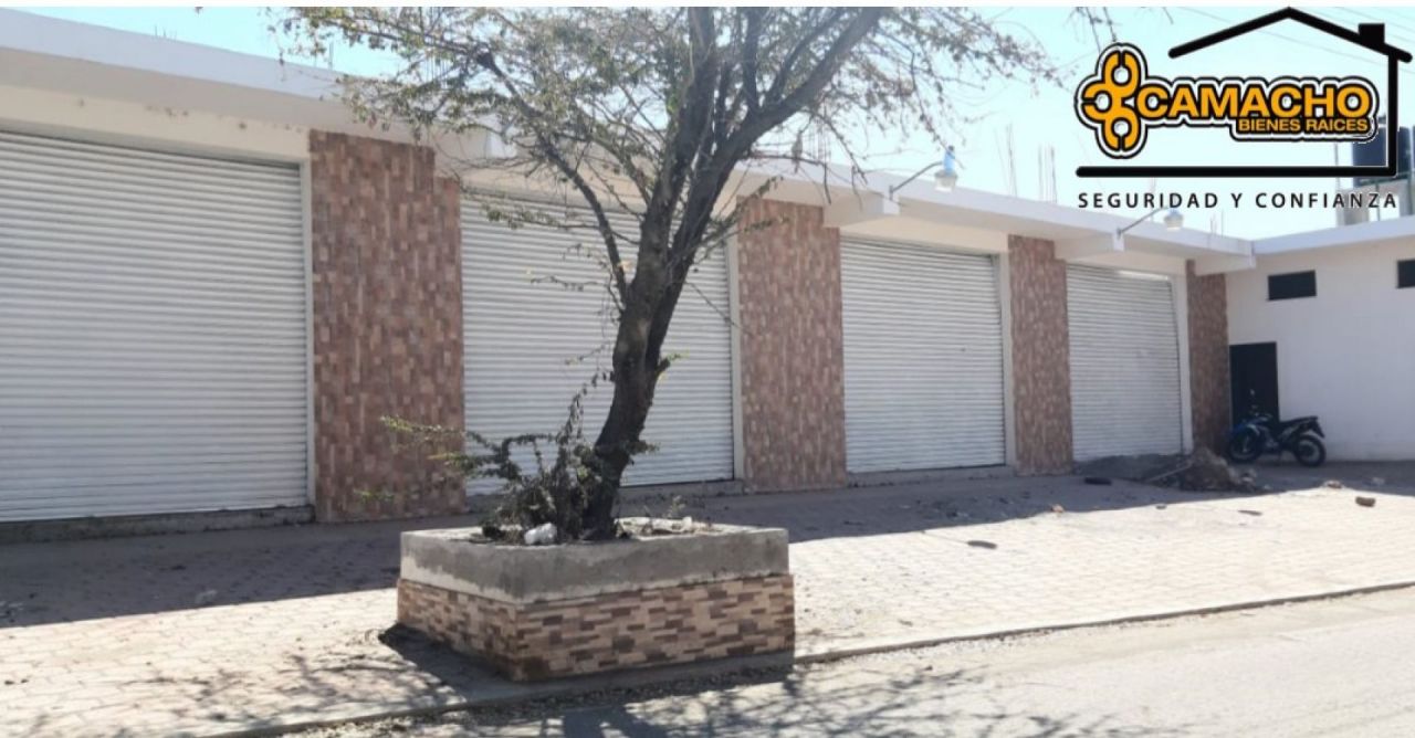 Locales comerciales en Lázaro Cárdenas