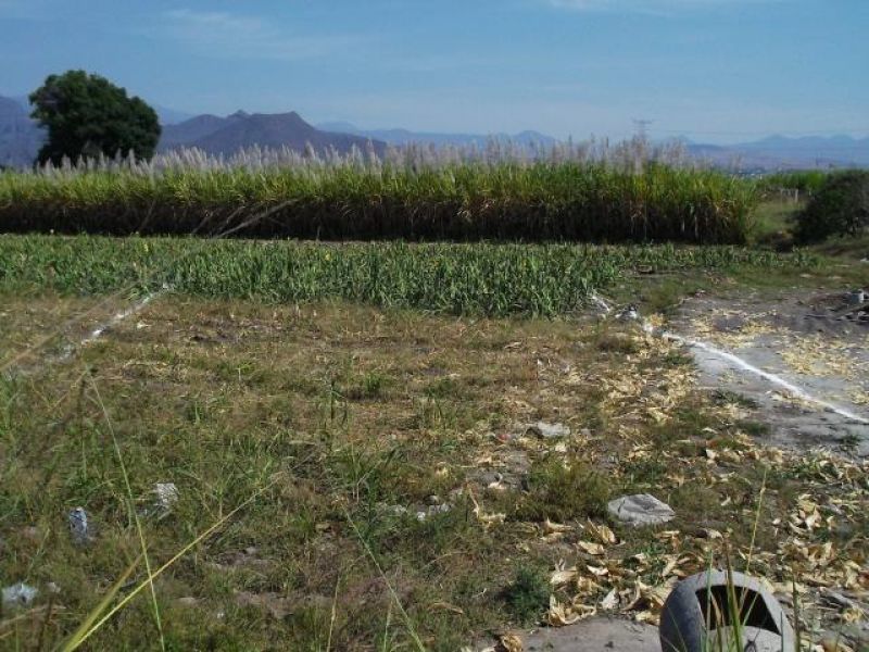 Terrenos en Carretera Cocoyoc - San Carlos
