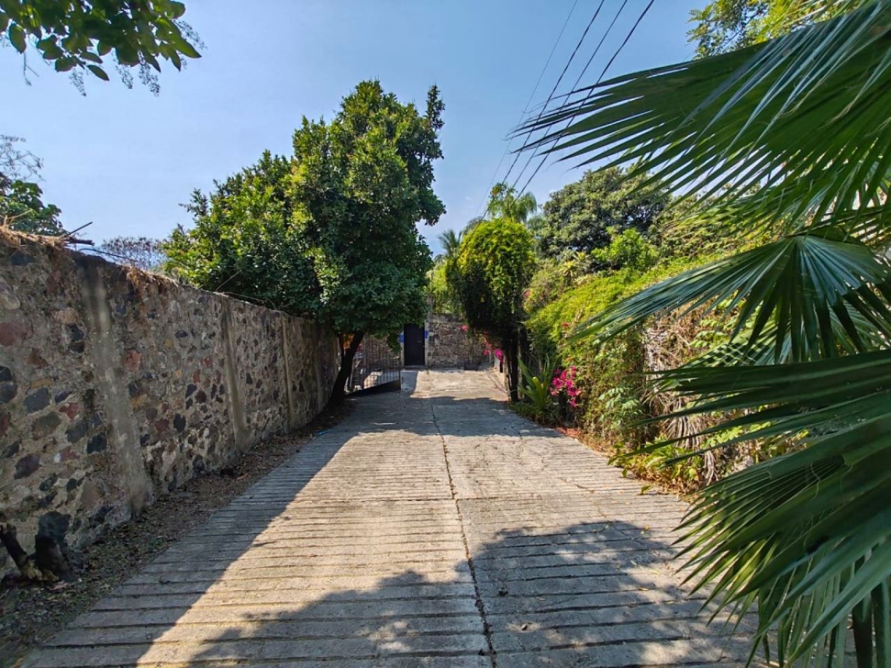 Terrenos en Alejandra