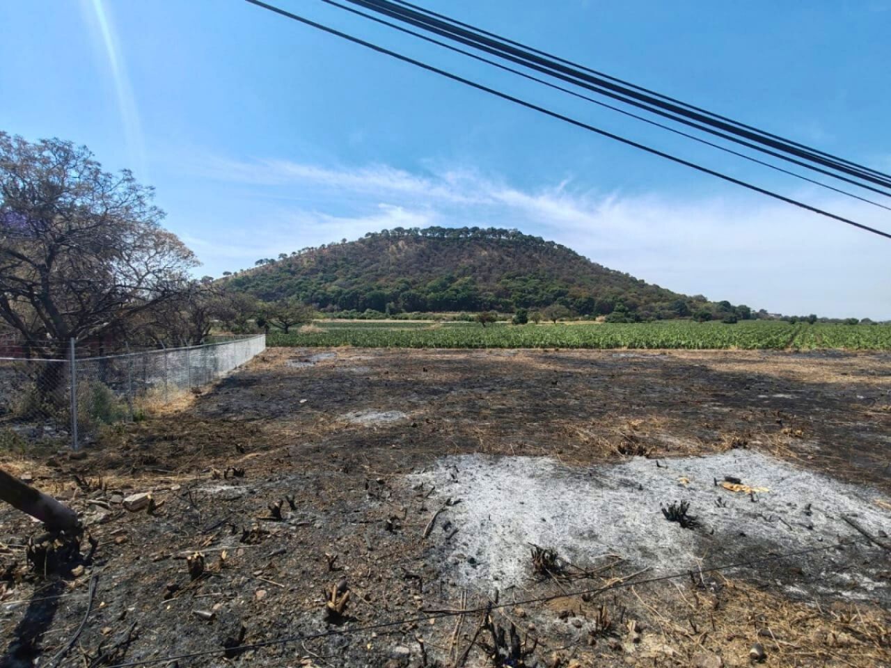 Terrenos en Fraccionamiento Palestina
