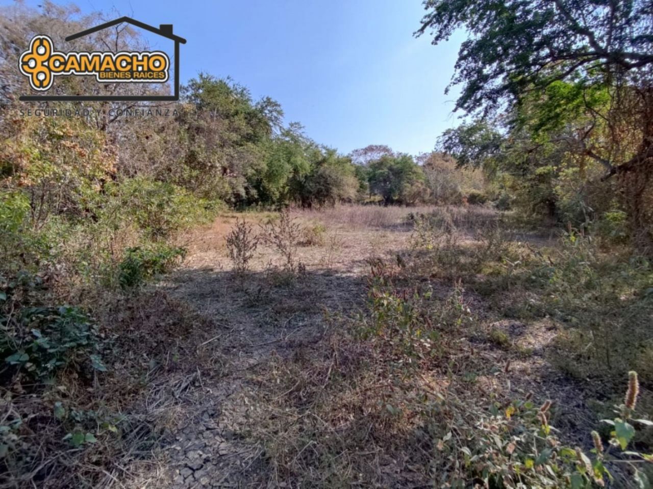 Terrenos en Alejandra