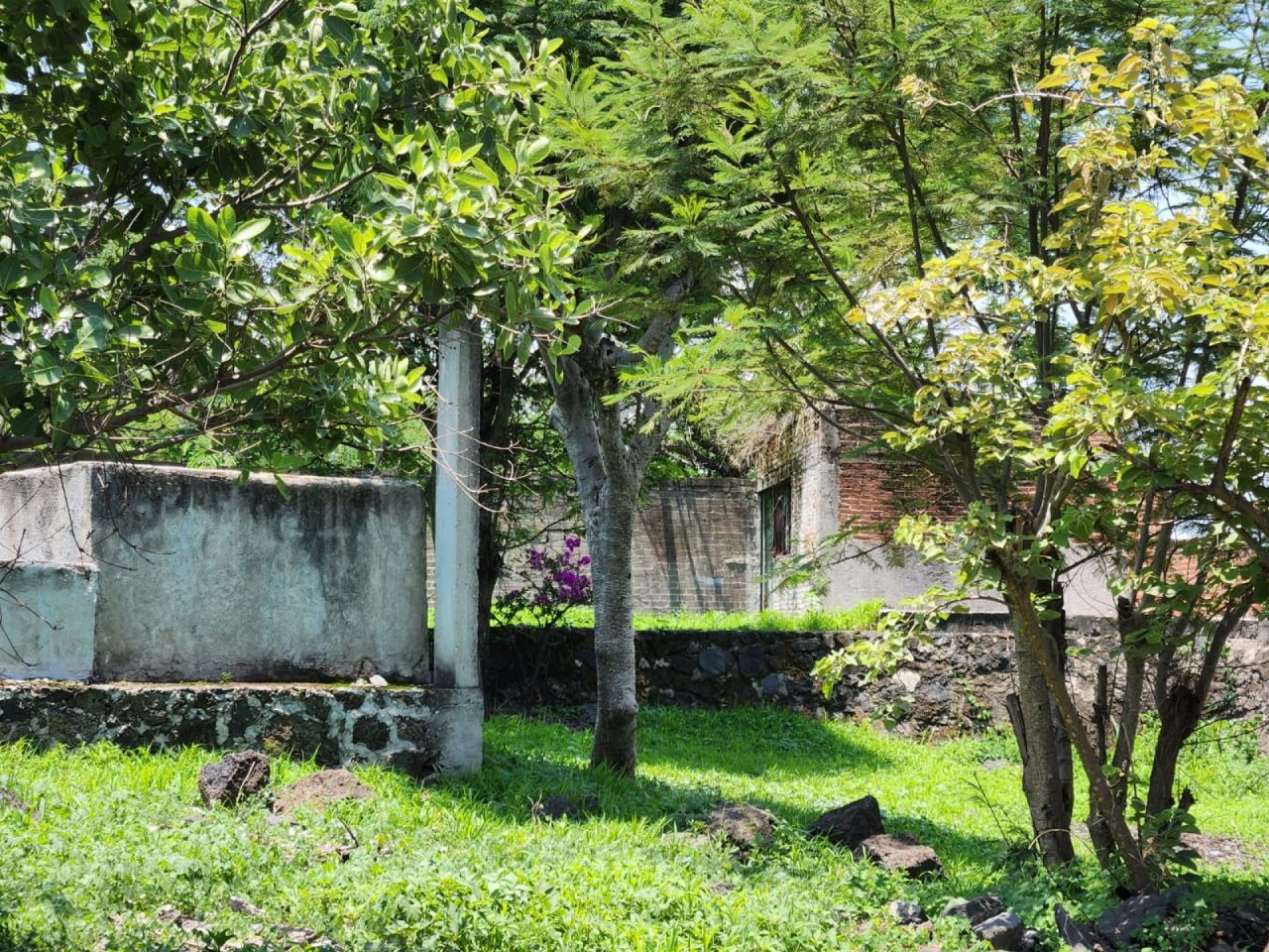 Terrenos en Narciso Mendoza