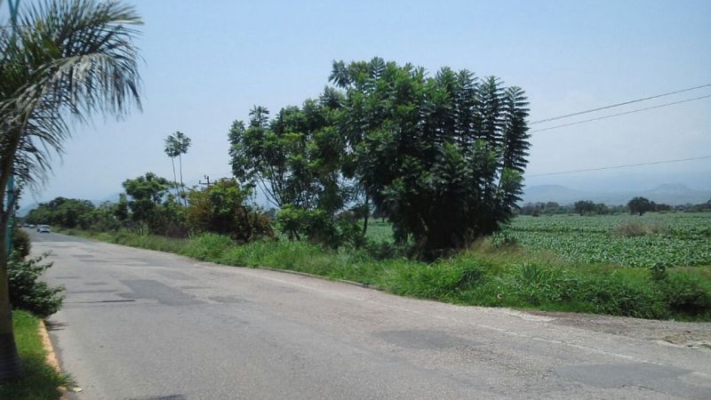 Terrenos en Yecapixtla