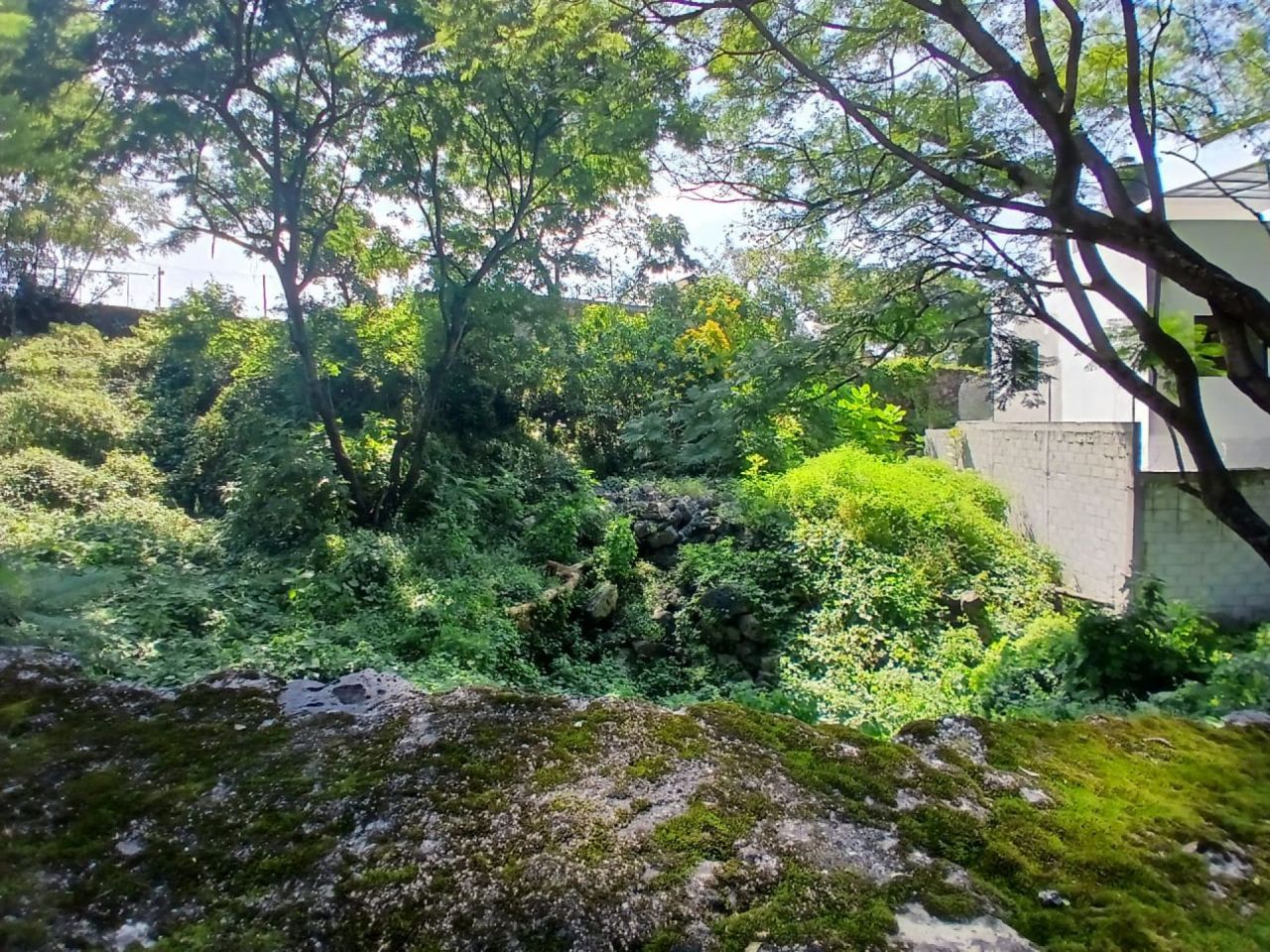 Terrenos en Pedregal de las Fuentes