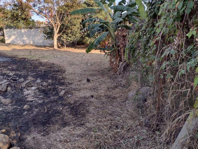 []