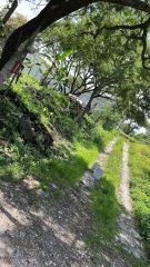 {"esp":"subiendo al predio otro angulo","ing":""}