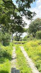 {"esp":"subiendo al predio","ing":""}