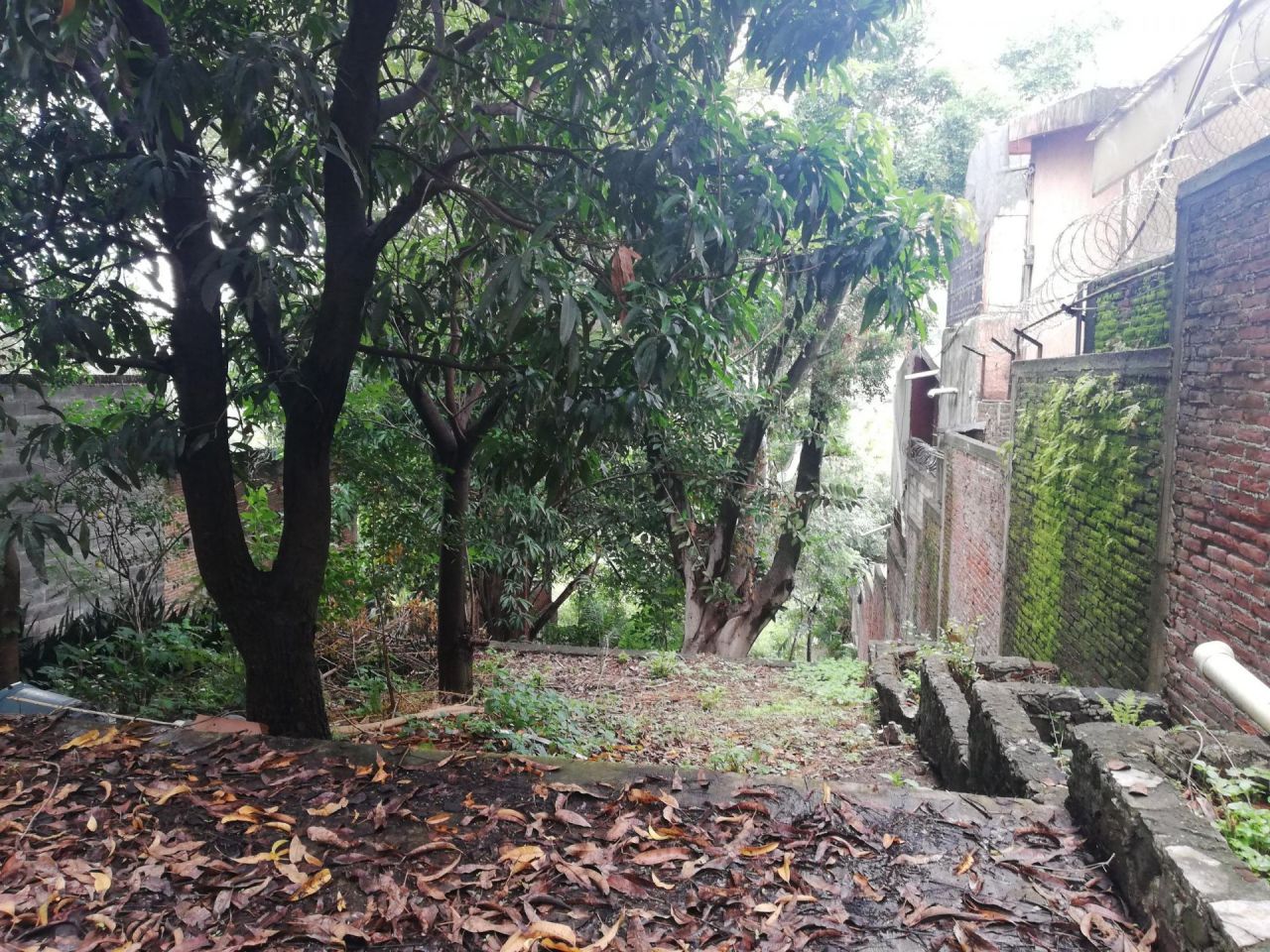 Casas en Club de Golf Cuernavaca