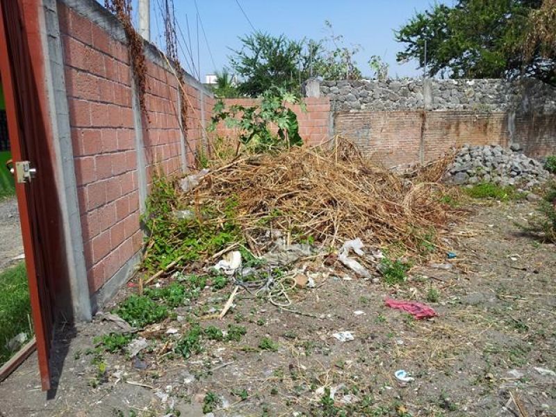 Terrenos en Acatlipa