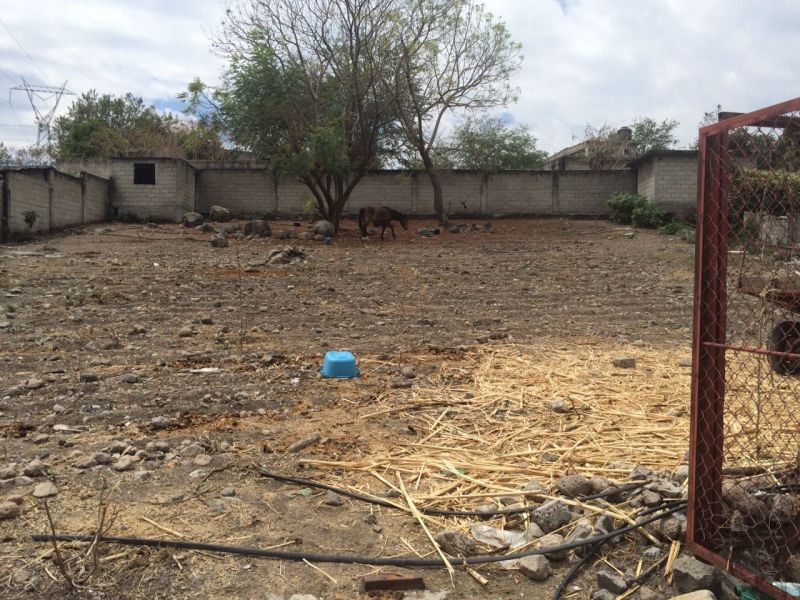 Terrenos en Real del Puente